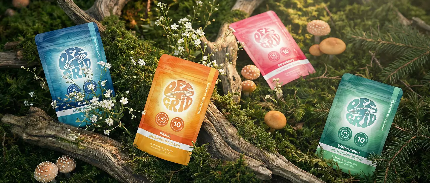 Four flavors of Off Grid Mushroom Gummies on a mossy log