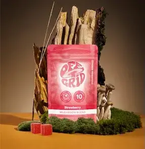 Off Grid Mushroom Gummies Strawberry, 300 mg per gummy, pouch, front