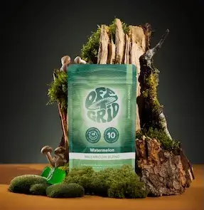 Off Grid Mushroom Gummies Watermelon, 300 mg per gummy, pouch, front