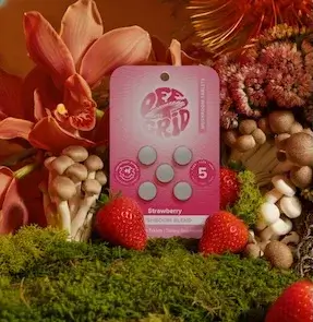 Off Grid Mushroom Tablets Strawberry, 5 ct pack, front