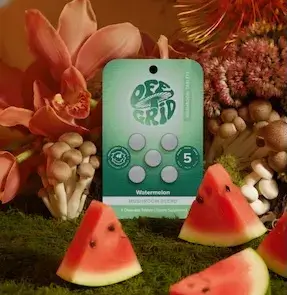 Off Grid Mushroom Tablets Watermelon, 5 ct pack, front